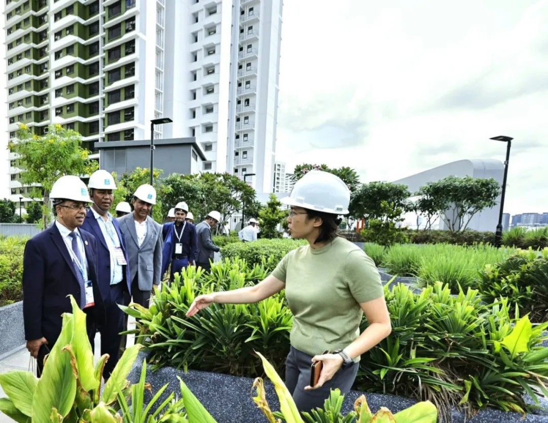 新加坡：大巴窑政府组屋N4C30项目开展开放日活动（4）.jpg