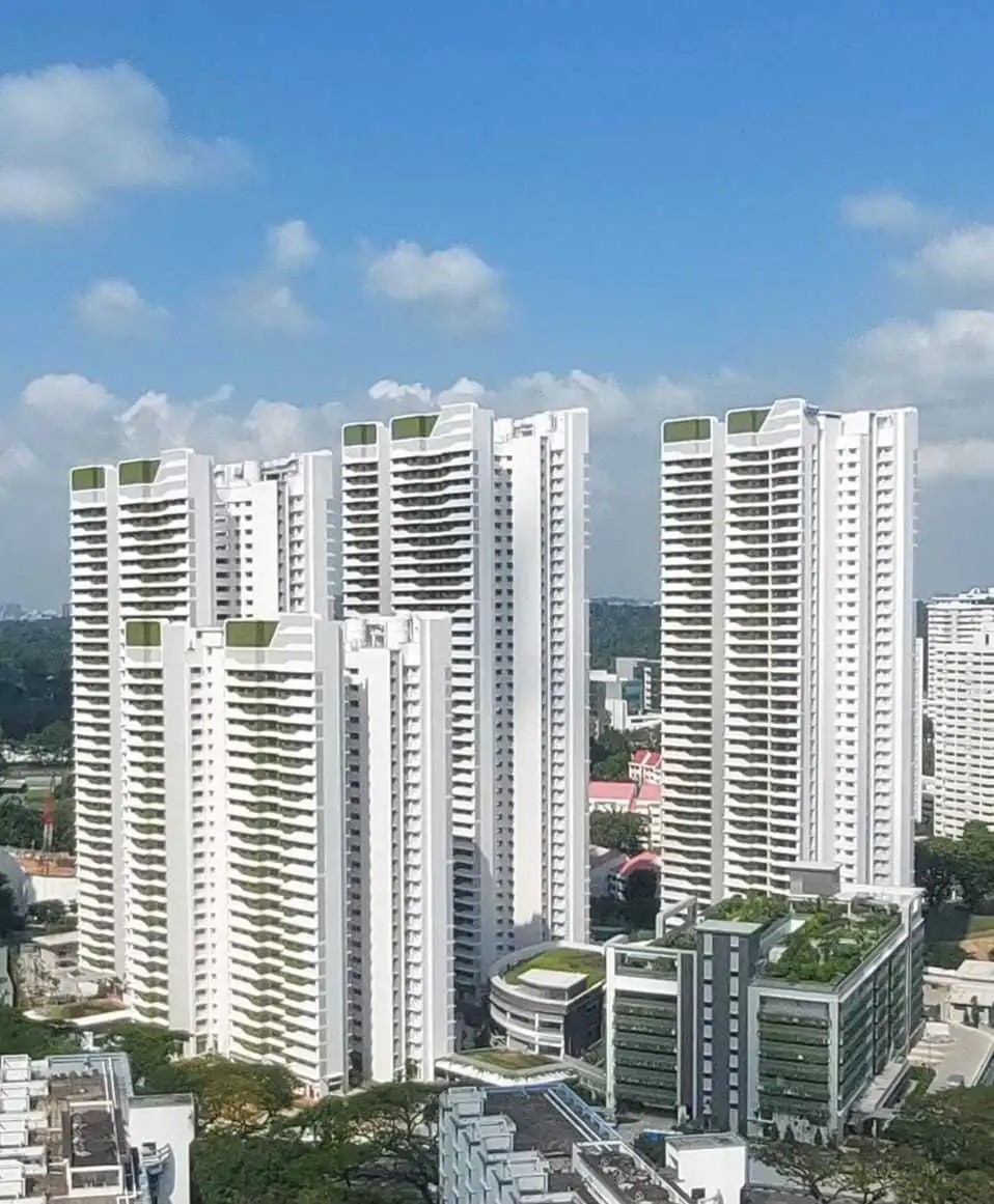 新加坡：大巴窑政府组屋N4C30项目开展开放日活动（6）.jpg