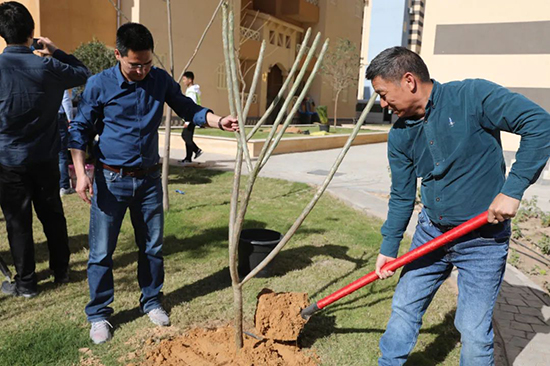 中建阿拉曼新城项目开展植树节活动1.jpg