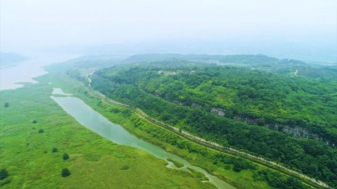 中国建筑打造重要生态修复项目重庆广阳岛2.jpg