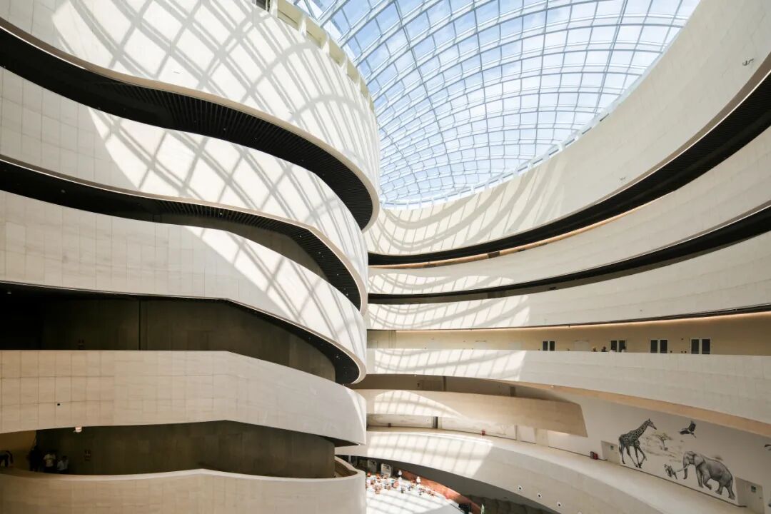 中国建筑承建的深圳自然博物馆正式开馆（6）.jpg